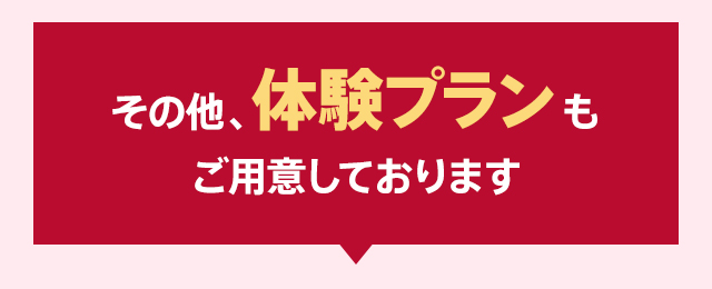 その他、体験プランもご用意しております